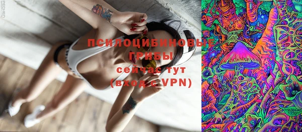тгк Лиски