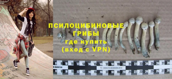 тгк Лиски