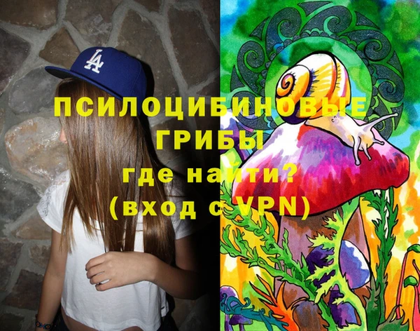тгк Лиски