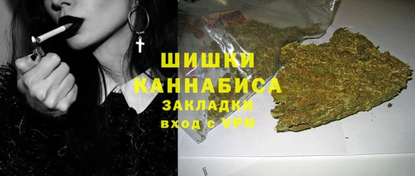 тгк Лиски