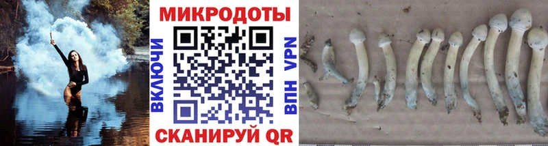 Галлюциногенные грибы Cubensis  Навашино 